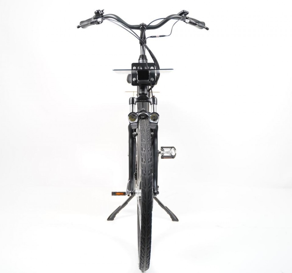 Delivery Bike Luxury mid motor