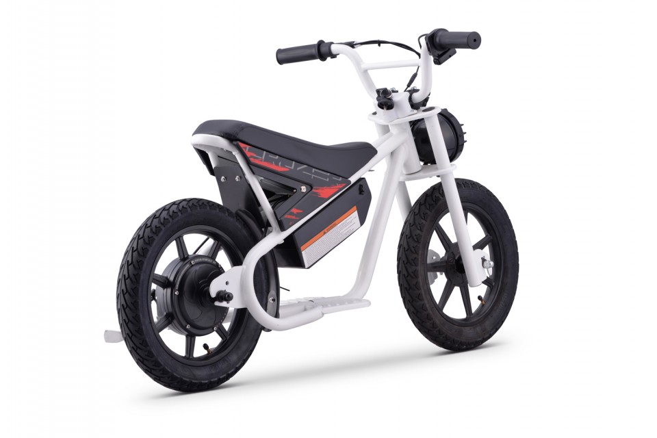 Ecp Dirtbike 200W 24V Retro fiets HC Sport 2