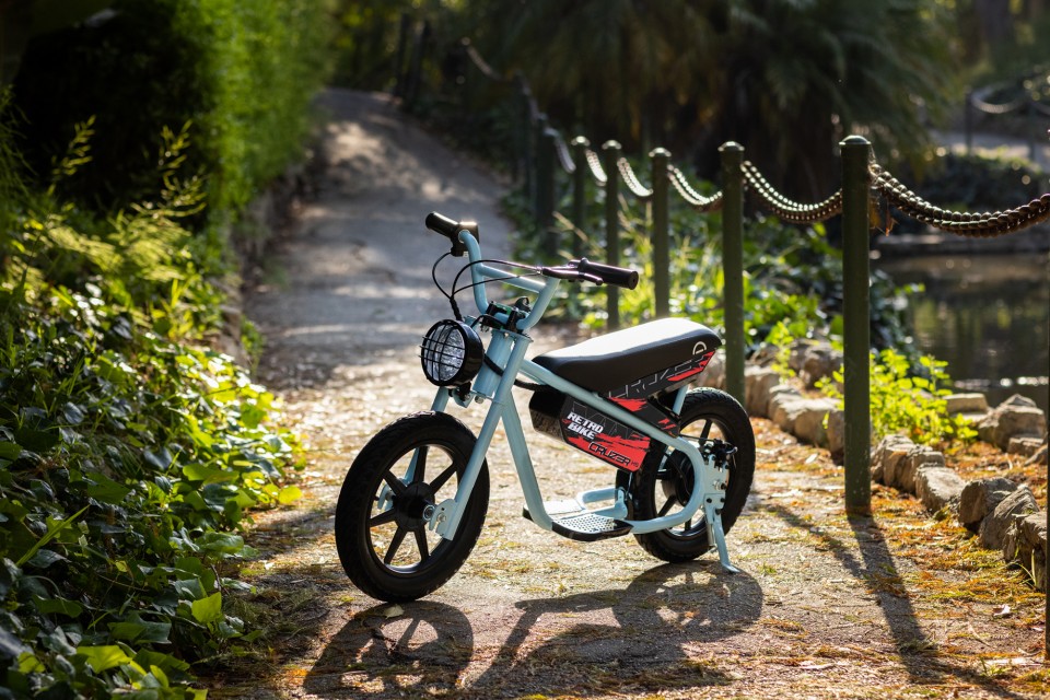 Ecp Dirtbike 200W 24V Retro fiets HC Sport 2