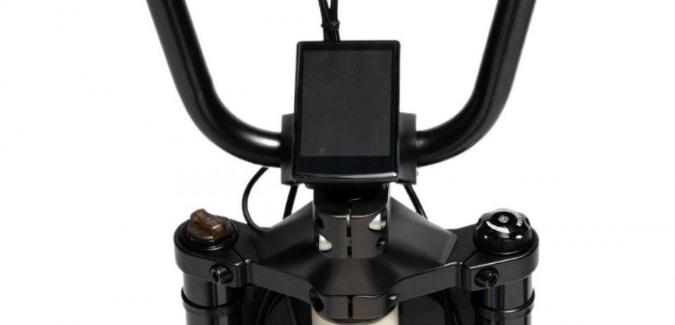 Phatfour FLXS - sand white - elektrische fatbikes