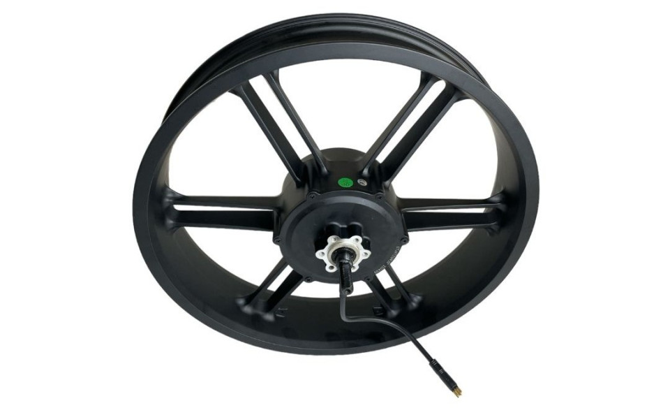 V20 pro fatbike motor met velg