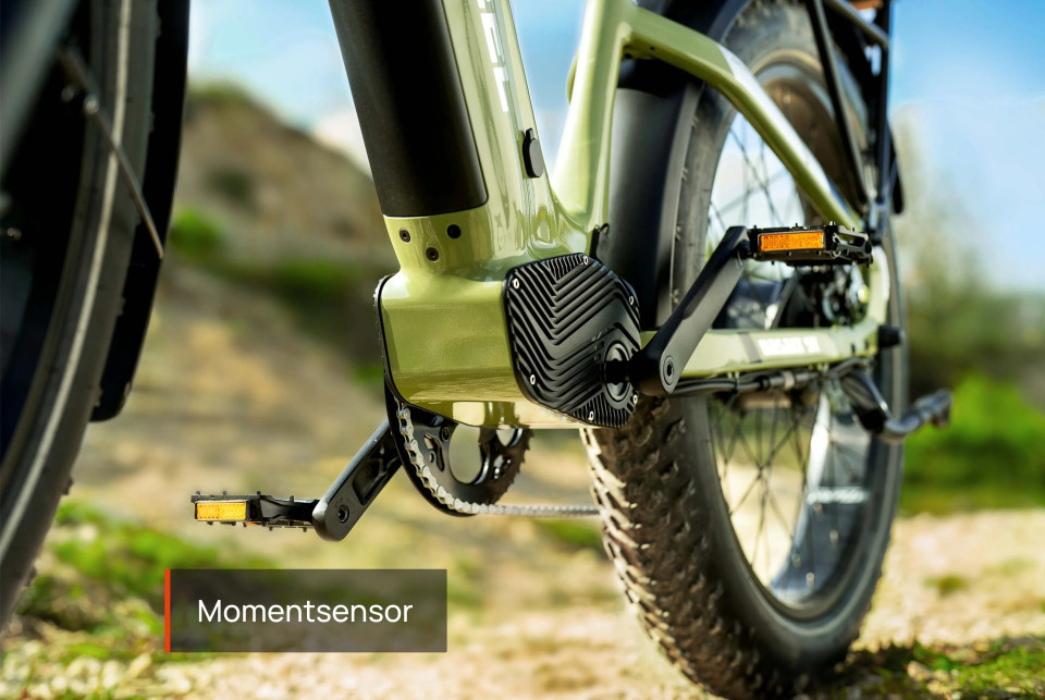 Mokwheel Basalt ST 2.0 - Groen | Elektrische Mountainbike | Fatbike