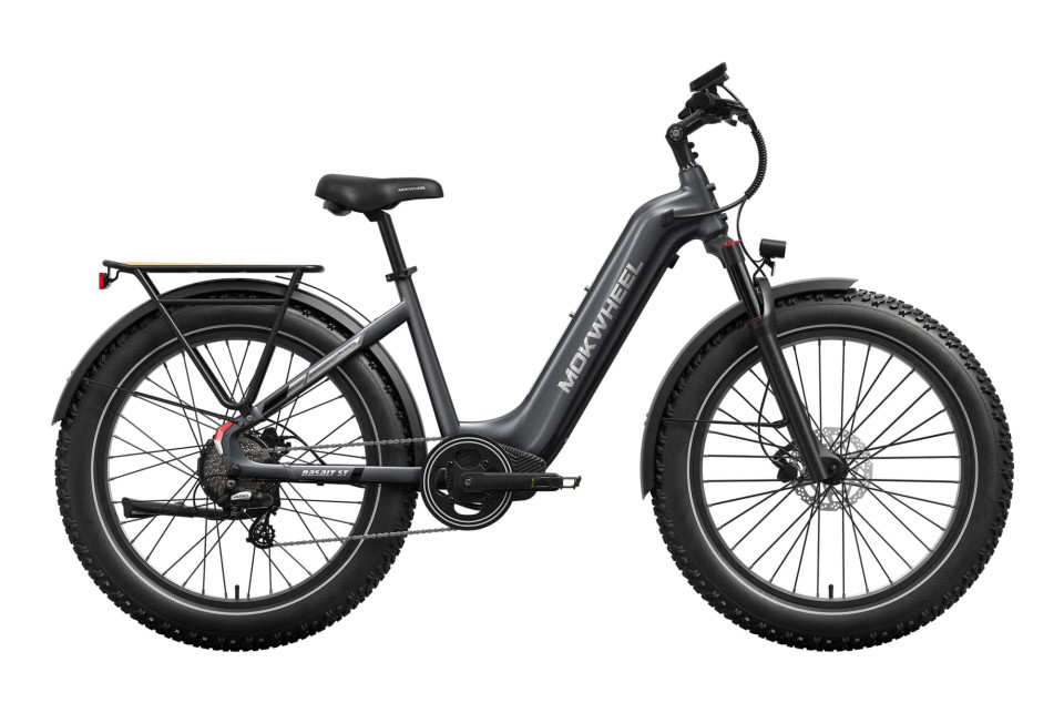 Mokwheel Basalt ST 2.0 - Steengrijs | Elektrische Mountainbike | Fatbike