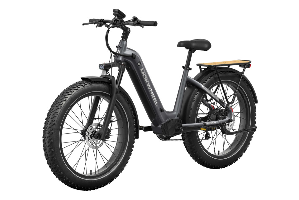 Mokwheel Basalt ST 2.0 - Steengrijs | Elektrische Mountainbike | Fatbike