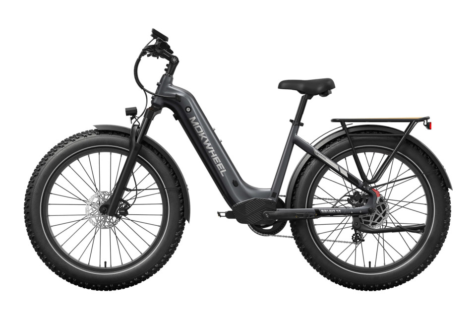 Mokwheel Basalt ST 2.0 - Steengrijs | Elektrische Mountainbike | Fatbike