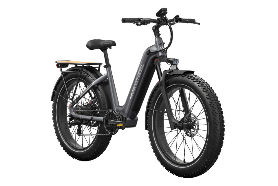 Mokwheel Basalt ST 2.0 - Steengrijs | Elektrische Mountainbike | Fatbike