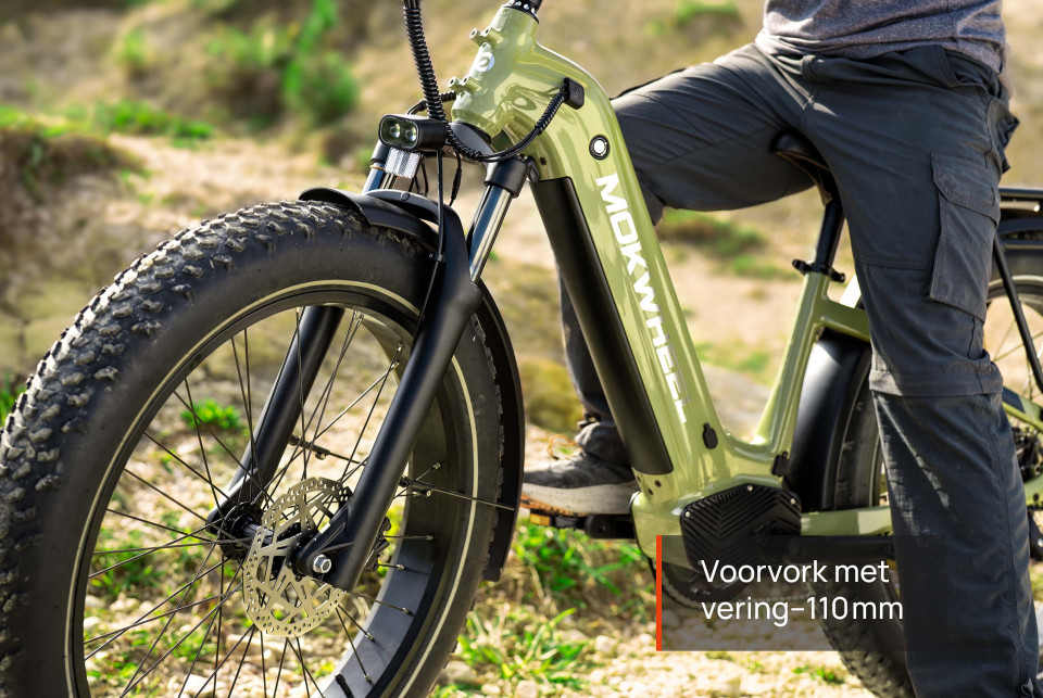 Basalt  Zwart | Elektrische Heren Mountainbike | Fatbike