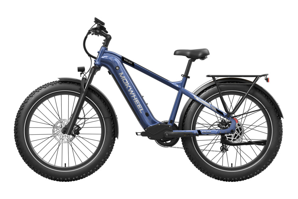 Basalt  Blauw | Elektrische Heren Mountainbike | Fatbike
