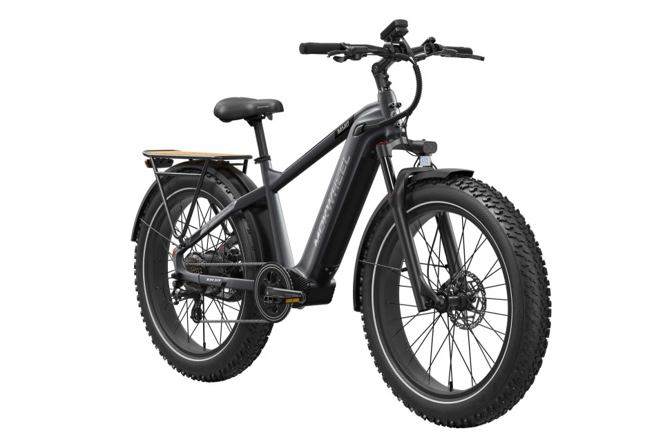 Basalt  Asgrijs | Elektrische Heren Mountainbike | Fatbike
