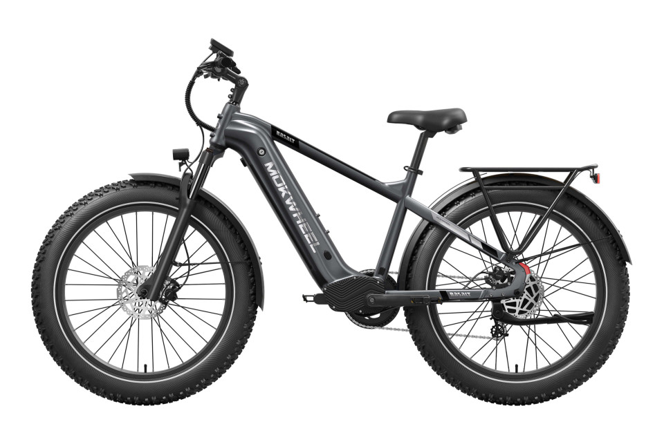 Basalt  Asgrijs | Elektrische Heren Mountainbike | Fatbike