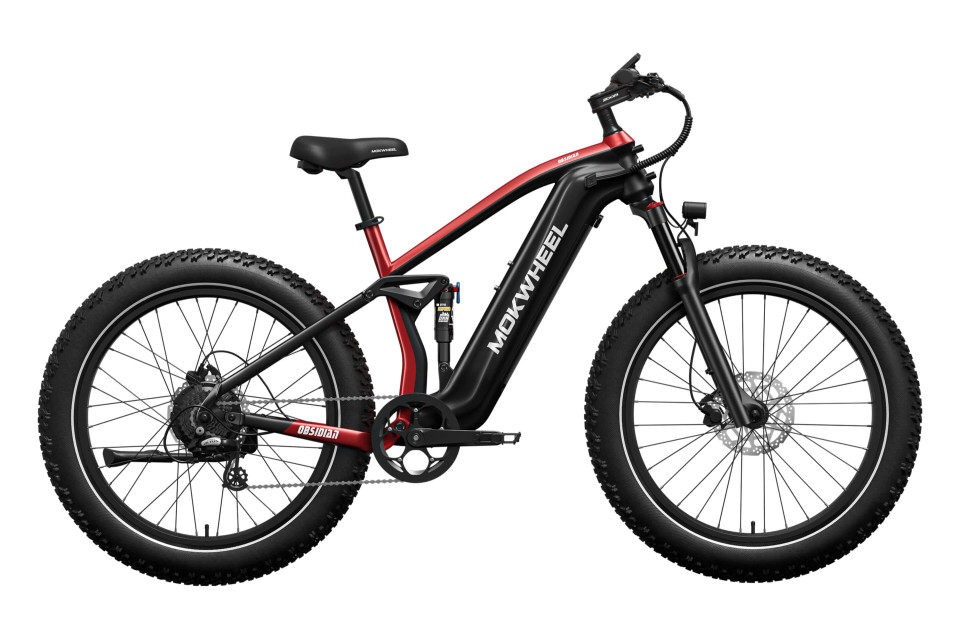 Obsidian Zwart/Rood | Elektrische Heren Mountainbike | Fatbike