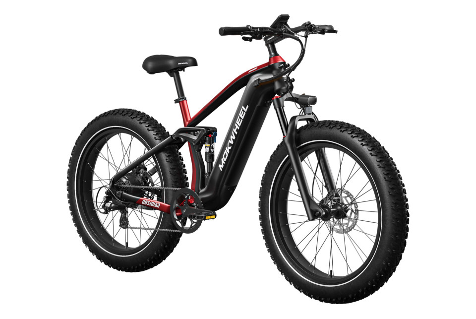 Obsidian Zwart/Rood | Elektrische Heren Mountainbike | Fatbike