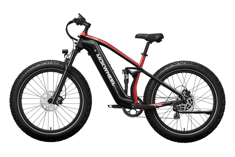 Obsidian Zwart/Rood | Elektrische Heren Mountainbike | Fatbike