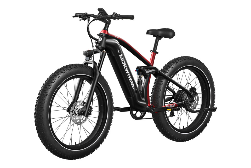 Obsidian Zwart/Rood | Elektrische Heren Mountainbike | Fatbike