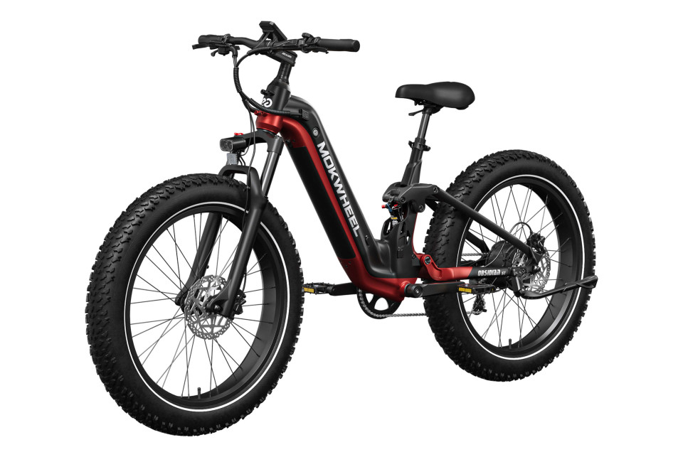 Obsidian ST Zwart/Rood | Elektrische Mountainbike | Fatbike