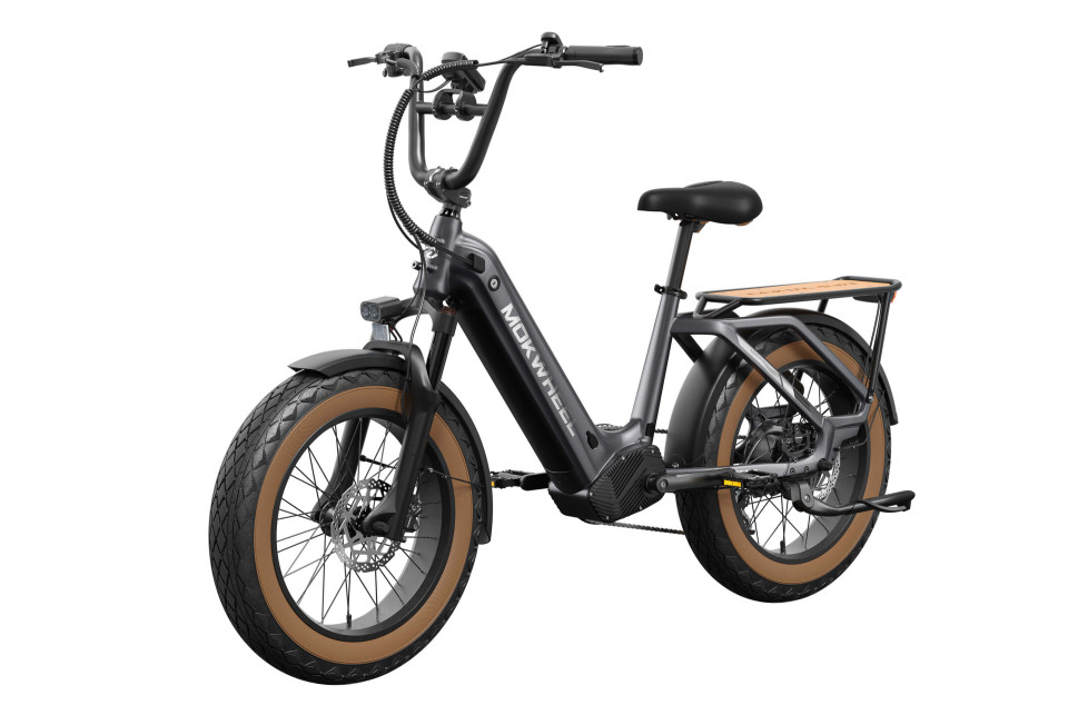 Scoria Grijs | Elektrische Mini Mountainbike | Fatbike