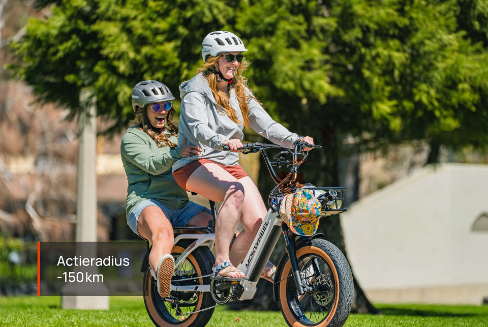 Scoria Wit | Elektrische Mini Mountainbike | Fatbike