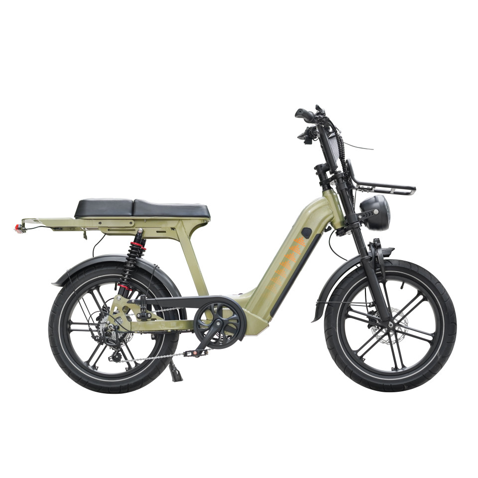 QM D50 - Groen - elektrische fatbike