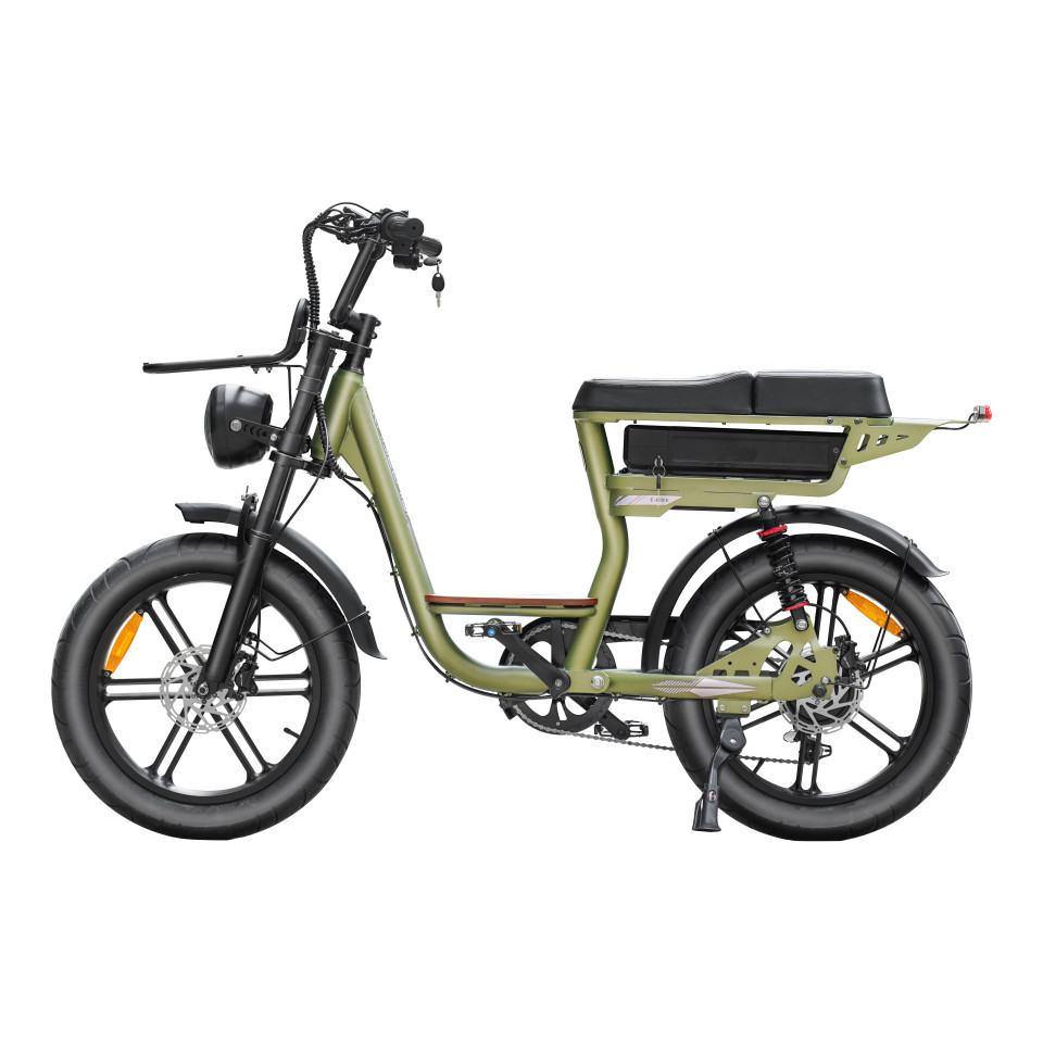 QM V20 Comfort - Groen - elektrische fatbike