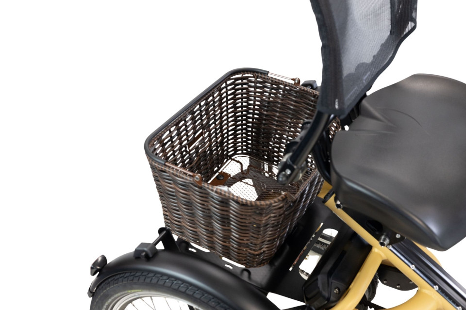 Van Rixtel Horizon - mango - elektrische driewieler