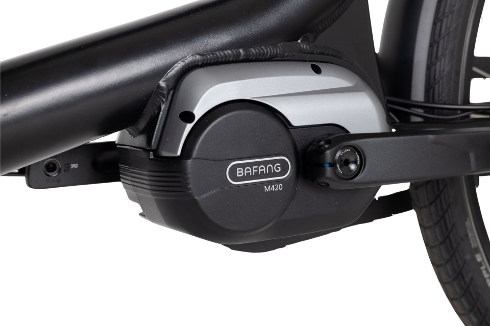 Royal Cargo Bike 2W Premium - elektrische tweewieler bakfiets - Groen