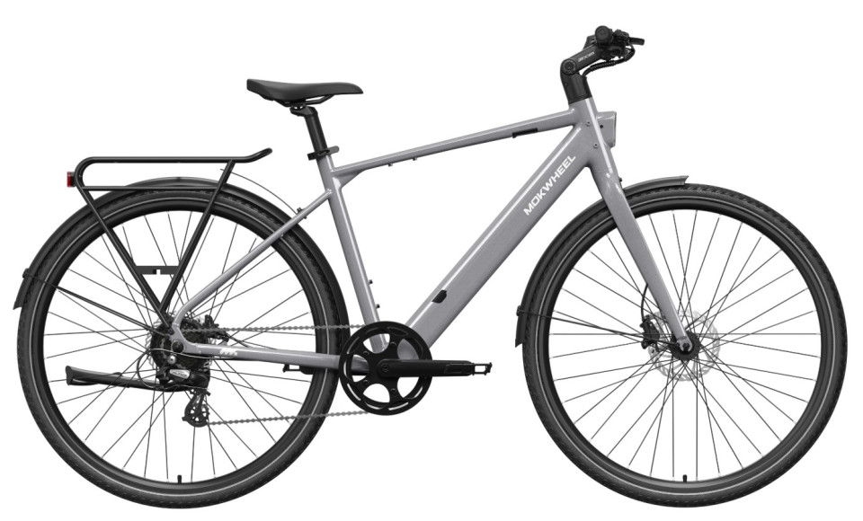 Mokwheel Flint - gray - elektrische herenfiets