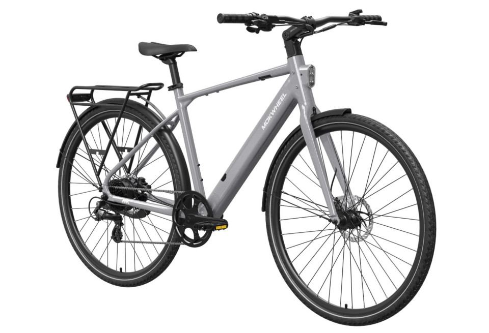 Mokwheel Flint - gray - elektrische herenfiets