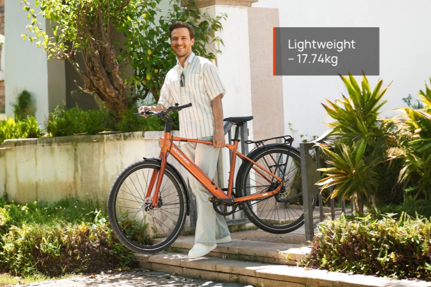 Mokwheel Flint Pro ST - pink - elektrische damesfiets