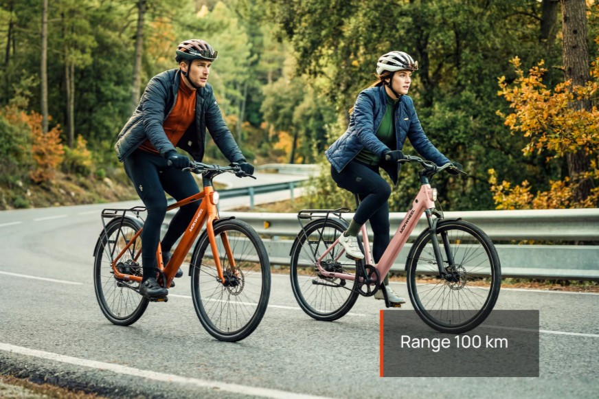 Mokwheel Flint Pro ST - skyblue - elektrische damesfiets