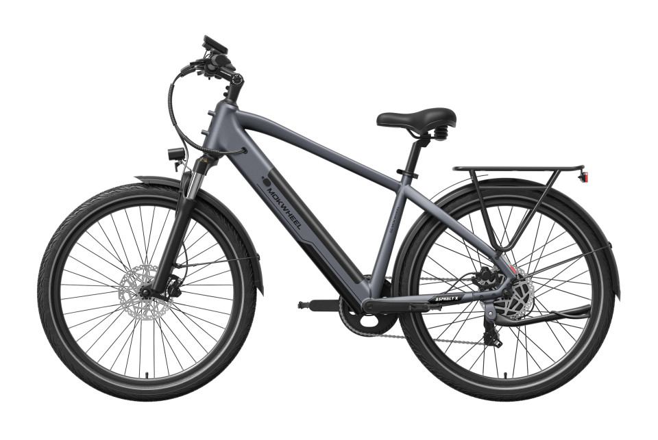 Mokwheel Asphalt - Grey | Elektrische herenfiets