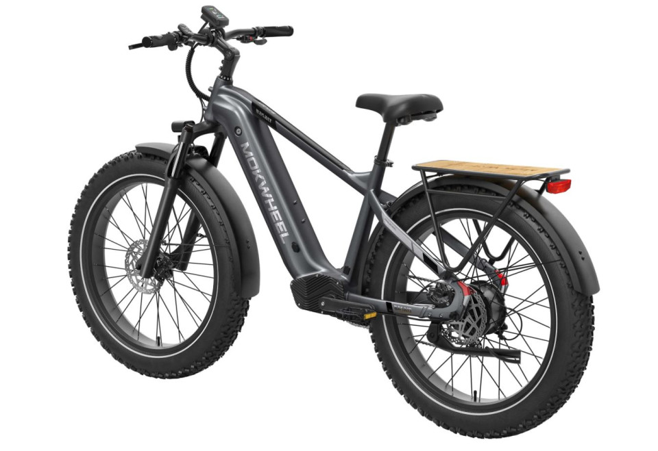 Mokwheel Basalt 2.0 - Ash Gray | Elektrische Mountainbike | Fatbike