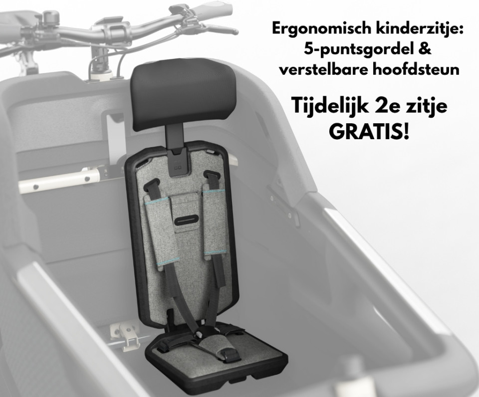 Ca Go FS200 Life Family - Edition 5 Silk Grey - elektrische tweewieler bakfiets