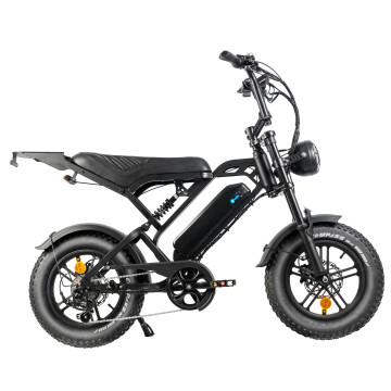 QM V20 Pro Mini - zwart - elektrische fatbike