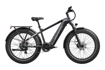 Basalt  Asgrijs | Elektrische Heren Mountainbike | Fatbike