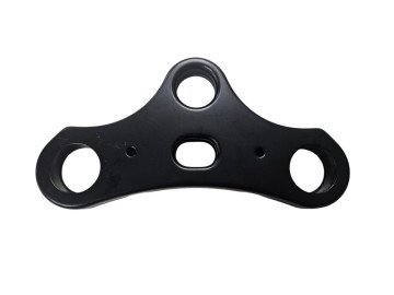 (199C4b) V20 pro Fatbike kroonplaat