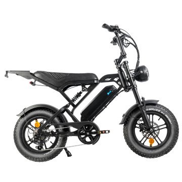 QM V20 Pro Mini - zwart - elektrische fatbike