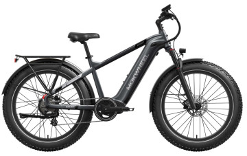 Mokwheel Basalt 2.0 - Ash Gray | Elektrische Mountainbike | Fatbike