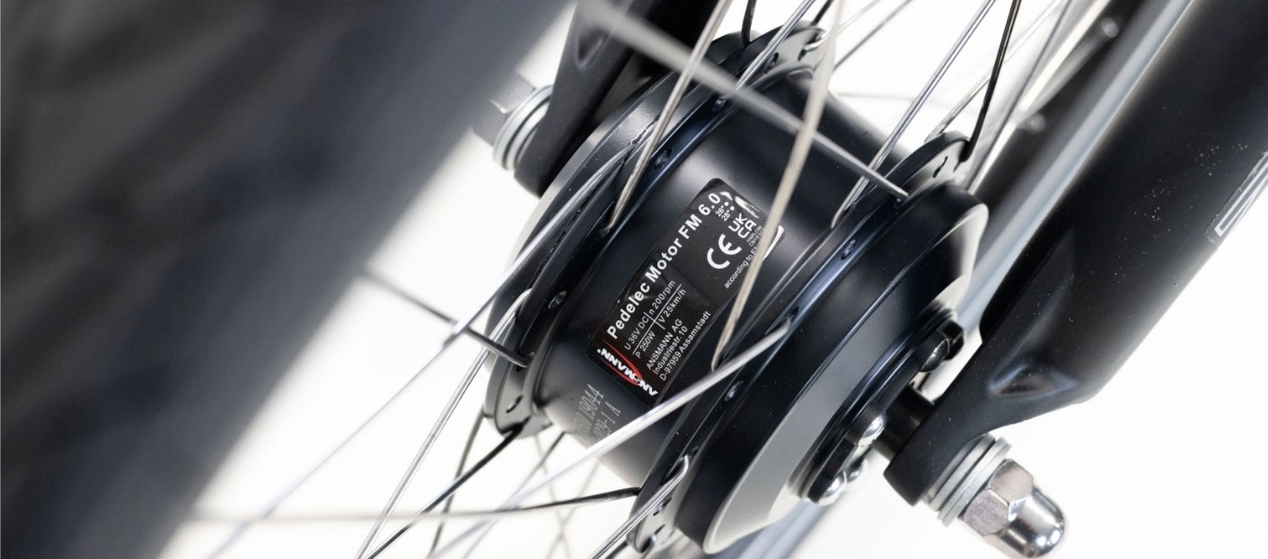 Pfautec Ally FM motor